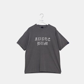 【公式・正規取扱】アップルバム APPLEBUM Vintage Overdye T-shirt Ash Gray 2311126 Tシャツ 送料無料