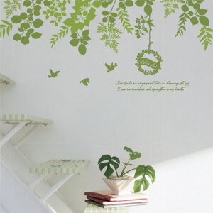 EH[XebJ[ k  gC q  tH[   t[  JtF p i CeAV[ EI[XebJ[ rO ] ǎ c[ p GREEN MELODY O