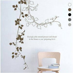 EH[XebJ[ A k   mg[ ǎ q EI[XebJ[ ǎ i` ACr[ ] ACBwIVY naturallinexJtF