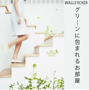 EH[XebJ[ k  At@xbg gC q  tH[   t[  JtF p i CeAV[ EI[XebJ[ rO ] p NATURE S