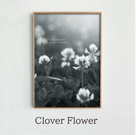 \\NEW// ポスター 北欧 インテリア シロツメクサ クローバー 花 春 モノクロ モノトーン Design Rail 【 clover flower 】 【70x50】【A3/42x29.7cm】 おしゃれ インテリア アートプリント