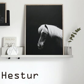 Coco Lapine design ポスター 北欧 写真【ココラパンデザイン】Hestur 馬 アイスランド ヘストゥル シンプル カフェ モノトーン モノクロ アートプリント 50x70cm インテリア