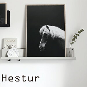 Coco Lapine design |X^[ k ʐ^yRRpfUCzHestur n ACXh wXgD Vv JtF mg[ mN A[gvg 50x70cm CeA