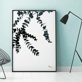 【送料無料】【70x50】【A3/42x29.7】 ポスター 北欧 Troom 【 eucalypt 】 フレーム ユーカリ 植物 ボタニカル おしゃれ モノクロ インテリア モノトーン