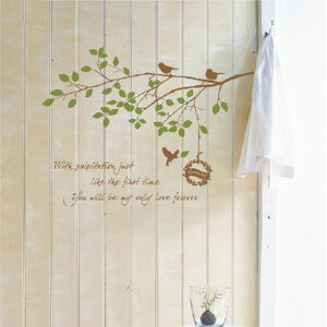 EH[XebJ[ A  k  [XebJ[ CeAV[ EI[XebJ[ ǃV[ wallsticker ] i` ǎ@BIRDHARMONY COLOURS o[hn[j[ O[ DIY
