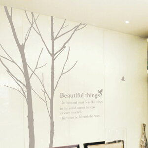 EH[XebJ[  k JtF  mg[ CeAV[  rO  q EI[XebJ[ A} Cg wallsticker ] AROMA OF DAWN light ǃV[ i`