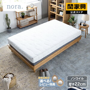 yz }bgX VO Z~_u _u mRC E^  ̈U ʋC |@ k }CeBgbv 22cm m nora m ։Ƌ z