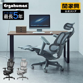 【公式】エルゴヒューマン オフィスチェア 多機能チェア メッシュチェア 可動肘 スタイリッシュ おしゃれ 疲れにくい テレワーク リモート 在宅 ブラック グレー フィット2ライト Ergohuman KIX 関家具 宅配便