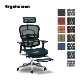 正規取扱店 エルゴヒューマン プロ EHP-LPL オフィスチェア ワークチェア オフィスチェアー ワークチェアー パソコンチェア 高機能チェア ヘッドレスト付き 肘置き オットマン付き 足置き おすすめ 快適 テレワーク リモートワーク 在宅ワーク 関家具