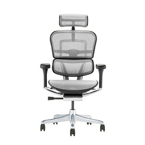 【ポイント10倍!】【公式】エルゴヒューマン オフィスチェア ゲーミングチェア かっこいい おしゃれ 疲れにくい テレワーク リモートワーク 在宅 EHP2-HAM エルゴヒューマンプロ2ハイタイプ