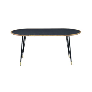 yz_CjOe[u 4lp 6lp ȉ~e[u ȉ~^ JtFe[u k ؍ C ؐ ACA X`[r 160cm AbV ~ zCg ubN i`  