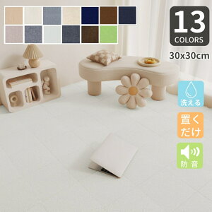 yށEǎ20OFFN[|tz^CJ[ybg 10Zbg` Ȃ 30x30cm n plJ[ybg WCg}bg u ^CJ[ybg h ی}bg R ڒܕsv 