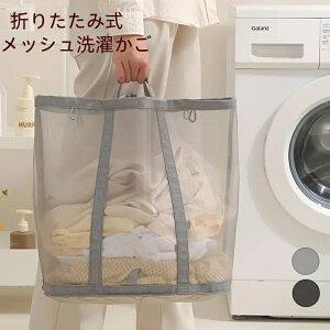 ܂肽 h[oXPbg 󂩂 ܂肽 h[ @ƕǂ̊ԂɎ[łI{bNX [{bNXe [obO bVh[oXPbg ^