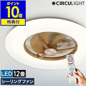 y2IׂTtzV[Ot@ T[LCgyK戵Xz^ V[OCg V[Ot@Cg ؖڒ 12p  R LED DC[^[ @ t] KCC-A12C