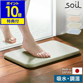 【特典付き】珪藻土バスマット ソイル soil 日本製 バスマット 珪藻土マット 珪藻土 足拭きマット 足ふきマット 吸水マット 乾燥 吸水 珪藻土だけ バスマット イスルギ【ポイント10倍 送料無料】［ soil bathmat / ソイル バスマット ］