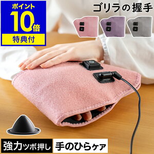 S̈yTtẑЂ}bT[W nh}bT[W@ c{ ObY ̂Ђ  nhPA  NƓd d  bNX  RpNg nCp[ GRT-2501 h