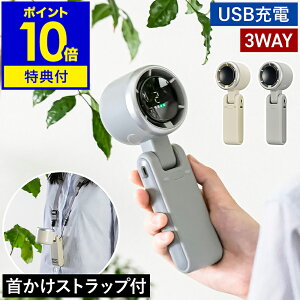 yTtznfBt@ | 莝  USB[d RpNg  ʋ ʊw AEghA nfB ^ @ gѐ@ 莝@ nfB[t@ 񂩂 Xgbv n