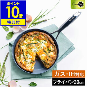 yTtzO[p FjXv tCp 20cm IHΉ KX I[u H@ Z~bNR[eBO Lb` GREENPAN  Lb`pi V l炵 k CC000650-001y