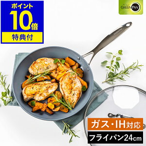 yTtzO[p FjXv tCp 24cm IHΉ KX I[u H@ Z~bNR[eBO Lb` GREENPAN  Lb`pi V l炵 k CC000651-001y