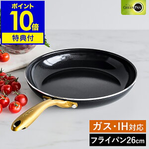 yTtzO[p XgDfBI tCp 26cm IHΉ KX I[u H@ Z~bNR[eBO Lb` GREENPAN  Lb`pi V  k CC007340-004y|