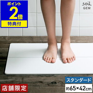 yTtz ]yoX}bg AXxXgsgp soil \C C oX}bg ʏ }bg ]y Y 65cm { X^_[h oX}bg WF ]y}bg Ђ 唻 z 