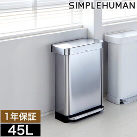 楽天市場 ゴミ箱 45l ステンレスの通販