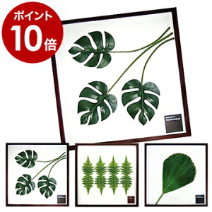 リーフパネル ミッドセンチュリー モンステラ フレーム 北欧テイスト 観葉植物 アートパネル インテリアパネル 壁掛け 北欧雑貨【ポイント10倍 送料無料】[ F-styleFrame/リーフパネル 525×525