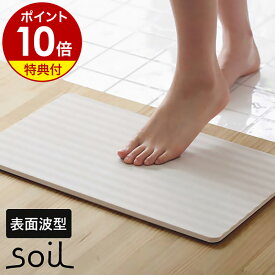 【特典付き】バスマット 珪藻土 ソイル soil バスマット ライト 珪藻土バスマット 珪藻土マット 足拭きマット 足ふきマット 吸水マット 吸水バスマット 乾燥 吸水 マット 日本製 イスルギ そいる ギフト【ポイント10倍 送料無料】［ soil bathmat ウェーブ ］