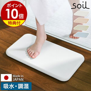 【特典付き】珪藻土バスマット ソイル soil 日本製 バスマット 珪藻土 足拭きマット 足ふきマット 吸水マット 国産 珪藻土マット 乾燥 吸水 珪藻土だけ バスマット イスルギ ギフト【ポイン