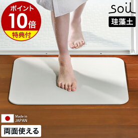 【選べる特典付き】ソイル 珪藻土バスマット 日本製 珪藻土マット ノンアスベスト 国産 珪藻土 バスマット おしゃれ 足ふきマット 速乾 吸水 乾燥 自然素材 お風呂 マット 速乾バスマット 薄い 足拭き カビ対策 JIS-B465［ soil バスマット ライト リバーシブル ］