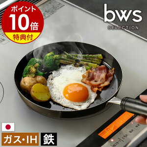 yTtzStCp S tCp ڋʏĂ IHΉ KXΉ ~jtCp a 20cm ^ uߓ  Lq Xe[L O { r[[XZNV SM-395004y|Cg10{