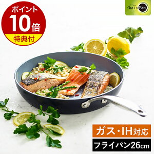 yTtzO[p FjXv tCp 26cm IHΉ KX I[u H@ Z~bNR[eBO Lb` GREENPAN  Lb`pi V  k CC000652-001y|