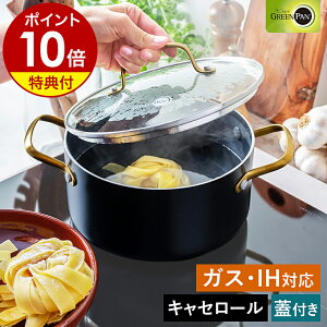 yTtzO[p XgDfBI LZ[   20cm Wt IHΉ KX I[u H@ Z~bNR[eBO Lb` GREENPAN  CC007338-004y|Cg10{ 