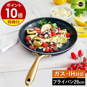 yTtzO[p XgDfBI tCp 26cm IHΉ KX I[u H@ Z~bNR[eBO Lb` GREENPAN  Lb`pi V  k CC007340-004y|