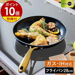 yTtzO[p XgDfBI tCp 28cm IHΉ KX I[u H@ Z~bNR[eBO Lb` GREENPAN  Lb`pi V  k CC007341-004y|