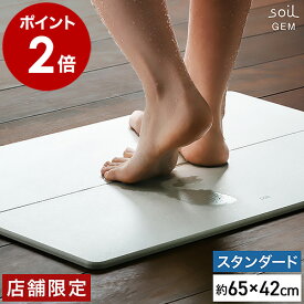 珪藻土バスマット アスベスト不使用 soil ソイル お風呂 バスマット 洗面所 マット 珪藻土 国産 幅65cm 日本製 スタンダード 速乾バスマット ジェム 珪藻土マット ひる石 大判 吸水 足ふきマット ワイド 速乾【送料無料】［ soil GEM バスマット standard ］