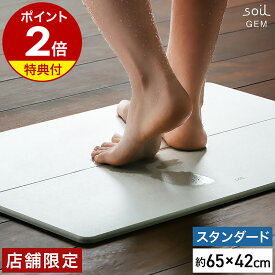 【特典付き】珪藻土バスマット アスベスト不使用 soil ソイル お風呂 バスマット 洗面所 マット 珪藻土 国産 幅65cm 日本製 スタンダード 速乾バスマット ジェム 珪藻土マット ひる石 大判 吸水 足ふきマット ワイド 速乾【送料無料】［ soil GEM バスマット standard ］