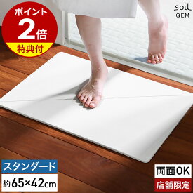 【特典付】珪藻土バスマット soil GEM【店舗限定】日本製 ソイル ジェム 両面 珪藻土マット 国産 バスマット 珪藻土 速乾バスマット おしゃれ 丈夫 お風呂マット 足拭き ひる石 吸水 カビ対策 アスベスト不使用［ soil GEM バスマット リバーシブル スタンダード ］