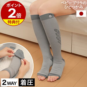 xr[S CyTtz\bNX fB[X \bNX {  ނ݃PA nC\bNX C i[X\bNX [\bNX \bNX p bNX Ђ