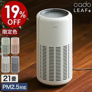 yptB^̓TtzJ[ cado Jh[ C@ AP-B250 LEAF250 K̔X 21 [t250 C ԕ΍ ECX΍ EL  tB^[ PM2.5  X ^