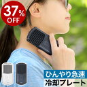 【在庫限り 37%OFF】首 冷却 冷却プレート ネッククーラー ペルチェ ペルチェ素子 首元 冷やす 首もと ひんやり 充電式 ハンディクーラー コンパクト ひんやりグッズ 熱中症対策 アウトドア キャンプ 暑さ対策 エレス IC-PT21［ iCool Porta / アイクール ポルタ ］