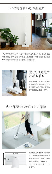 楽天市場】【在庫限り66%OFF】掃除機 バルミューダ ザ・クリーナー 