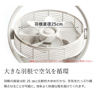 ������25cm