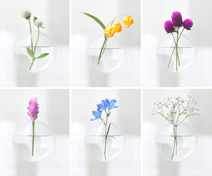 楽天市場 一輪挿し 花瓶 Kaki フラワーベース 割れない 花器 窓 鏡 コンパクト 小さい 野花 フラワー ベース シンプル 簡易 宙 壁掛け 貼ってはがせる かわいい おしゃれ 日本製 北欧 プレゼント ギフト プラスディー Da 1050 ポイント10倍 アッシュコンセプト D