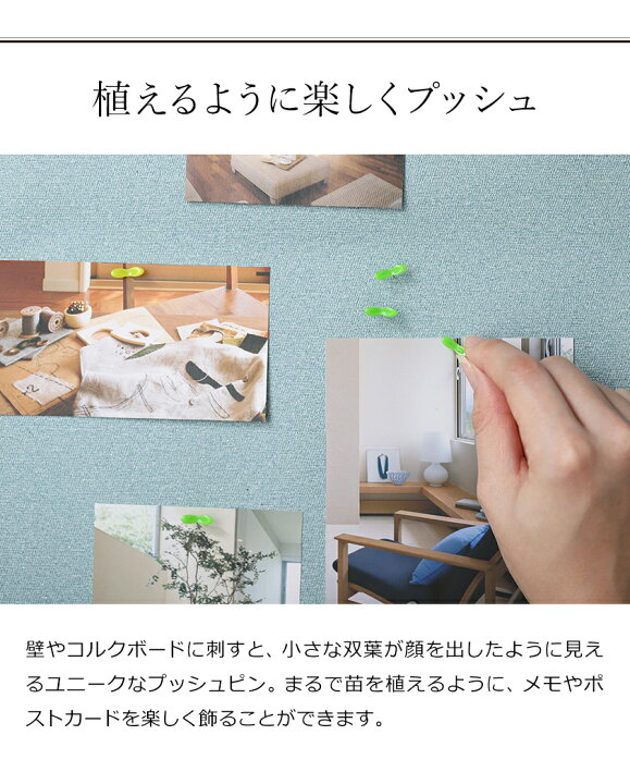 楽天市場 画鋲 押しピン 5個入り おしゃれ 日本製 画びょう 新芽 かわいい おしゃれ おもしろ雑貨 プッシュピン ポストカード 写真 コルクボード 賃貸 壁面 文房具 飾り デコレーション プレゼント プラスディー D 490 ポイント10倍 アッシュコンセプト D グリーン