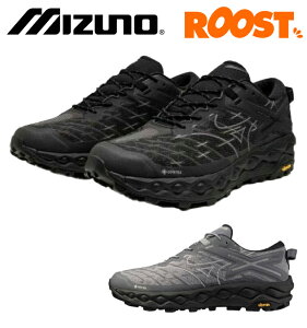 MIZUNO �~�Y�m WAVE MUJIN LS GTX �E�F�[�u���W��LS GTX D1GA2501 ���{���K�i �����Y