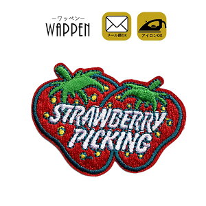 いちご ワッペン 刺繍 アイロン接着 縦4.5cm×横5.8cm アイロンワッペン イチゴ フルーツ 食べ物 手芸 オシャレ かわいい わっぺん 入園 入学 キッズ 子供 アップリケ あっぷりけ wappen マスク用