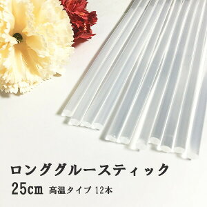 O[XeBbN 25cm 12{ ^Cv O[Kpzbg{h zbgg O[Ky[֕sz