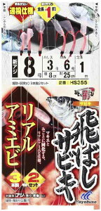 nuT(Hayabusa) ЂƂ ΂TrL AA}Gr 8-3