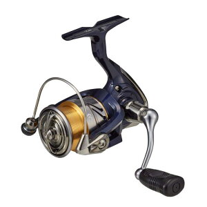 _C(DAIWA) XsjO[ 20 NXg LT2000S(2020f)